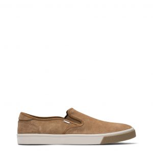 TOMS