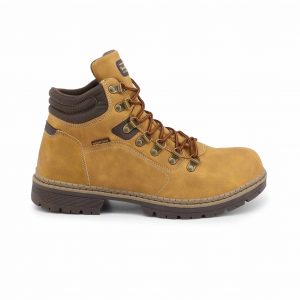Duca di Morrone